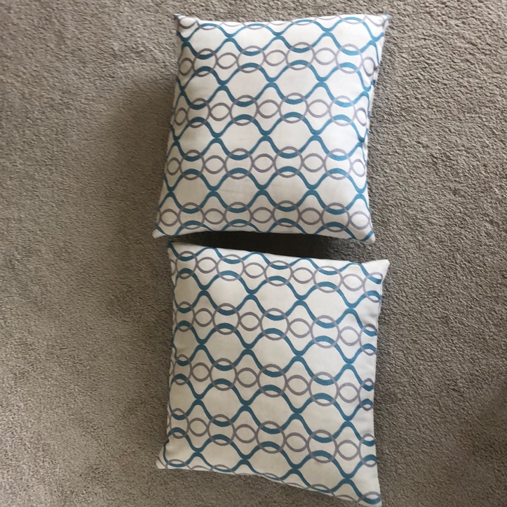 Set of 2 Pillows